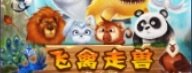 飞禽走兽